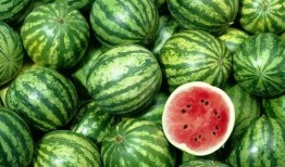 网红吃瓜资源444,一场视觉盛宴的狂欢之旅