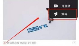 吉林头条视频爆料,揭秘XX事件背后真相